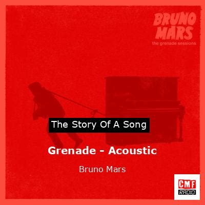 bruno mars grenade song meaning.